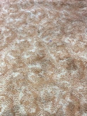 Goodbye Groovy Ruby Tuesday #newyear #oddlysatisfying #carpetguy 