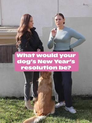 This year, your pup’s New Year’s resolutions might look like this: 🐾✨  1️⃣ More belly rubs.  2️⃣ Extra treats (in moderation, of course!).  3️⃣ Longer walks and playtime. 4️⃣ Endless snuggles.  5️⃣ More DOGTV!  Let’s make 2025 paws-itively amazing for our fur friends! 🎉🐶  #DOGTV #NewYearsResolutions #2025 #HappyHolidays #dogmom