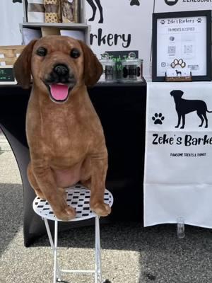 Thank you for an amazing 2024! 🐾❤️🐾 #capcut #zekesbarkery #fyp #welovedogs #rhodesianridgeback #hound #houndsoftiktok #dogtreats #homemadedogtreats #dogbakery #dogbarkery #dogtreatbusiness #thegoodestboy 