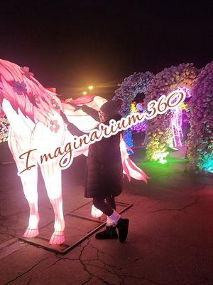 #imaginarium360 #magianavideña #california #sacramento #imaginarium @Imaginarium 