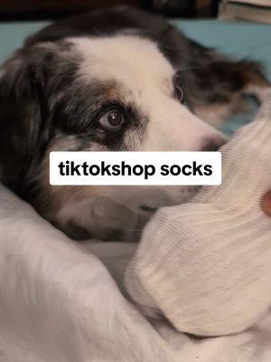 I think it's floof approved (he didn't attack it) #socks #whitesocks #tiktokshopsale #sale #TikTokShop #tiktokfinds #giftguide 