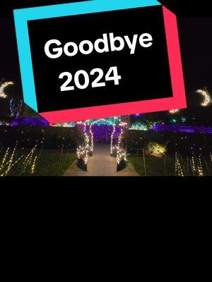 #2024 #2025 #strongwoman #strongwomen #queenshit #manifestthatshit #greenscreen  #goodbye2024 #hello2025 