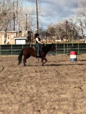 Lost friends and made friends, stressful year to say the lease. #foryou #nevadaliving #rosasperformancehorses #fyppppppppppppppppp #livingmybestlife #smilemore #newfriends #oldfriends #newbeggingings #fyp  #CapCut 