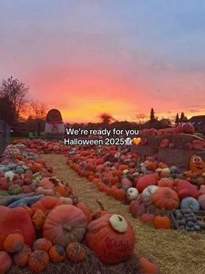 Counting down the days🧡🖤 I hope you all have a spooktacular new years! 🎊 👻🖤🎃🍂🧡💀🍁 #spooky #halloween2025 #autumn #fall #pumpkin #spookyseason #fall2025 #eek #boo #pumpkinspics #autumn2025 #thisishalloween #ilovehalloween  #ilovefall #fyp #fypシ゚viral #allhallowseve #halloween #halloweentok 