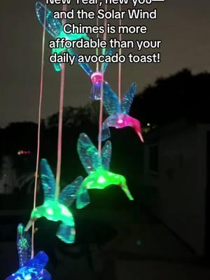 Changing Hummingbird LED Lights #solarlights #solarlightsoutdoor #gardenlights #lucessolares #lucesdejardin #decoraciones #colibries #TikTokShopLastChance #tiktokshopnewyearnewaura 