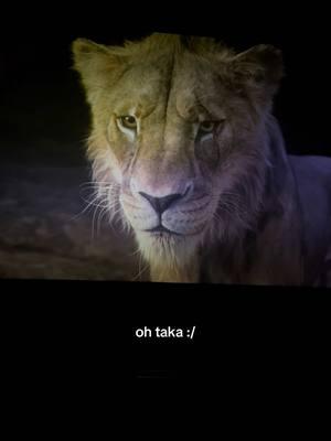 filled w emotions ugh #lionking #lionkingedit #lionkingmufasa #scarlionking #lionkingtaka #lionkingfans #viral #disneypixar 