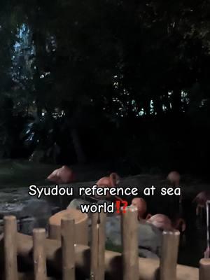 I can’t look at flamingos the same without thinking about syudou   |    ##fyp    ##foryou  ##syudou