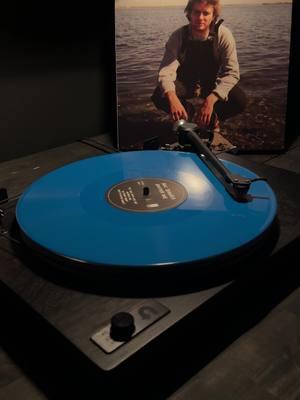 No Other Heart by Mac DeMarco. . . #fyp #vinyl #vinylcheck #vinylcollection #vinylrecords #nowspinning #macdemarco 