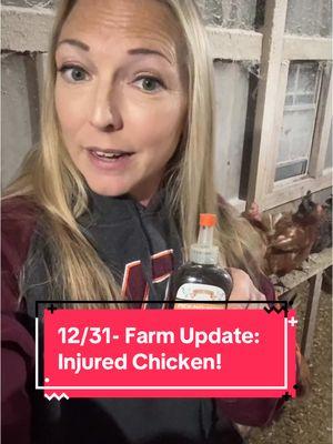 12/31: Farm Update- Injured Chicken! 😬 #mitrowskihousefarm #wny #cattarauguscountyag #homesteading #