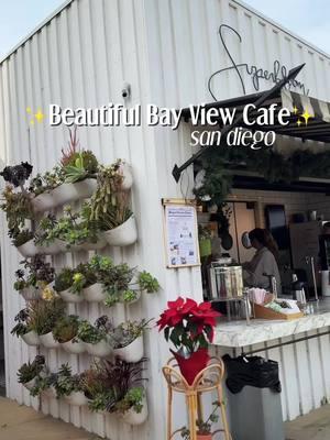 Best cafe with a view but too bad the wifi is spotty 🙄😭#superbloom #missionbay #sandiego 