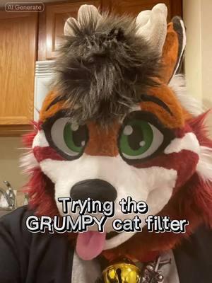 “Autumn Cabbit as a Cursed Grumpy Cat” #CapCut #furry #furrydandom #funny