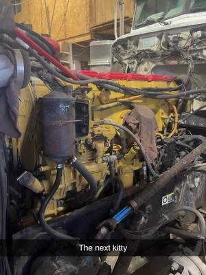 Surprise inframe due to blown head gasket. “The hardest part of a CAT head gasket is removing the oil pan”-TWC Mechsnical #dieselmechanic #dirtyhandsstillbroke #largecar #peterbilt #caterpillar #379 #snapontools #snapon #6NZ #cowtruck #cowmobilin #wfoexpress #wiltfongdiesel 