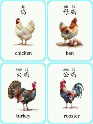 😊每天一起学习基础汉语吧！#speakchinese #chinese #putonghualearning #chineselesson #basicchinesemandarin #studychinese #chineselearning #freechineselesson #basicchinese #chineseteaching 