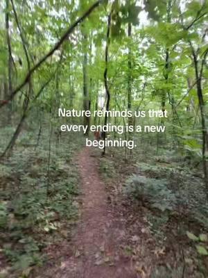 Dream Big. This is your year. #naturehike #naturetok #natureheals #Hiking #hikingadventures #hikingtiktok #naturelover #growthjourney #endlesspossibilities 