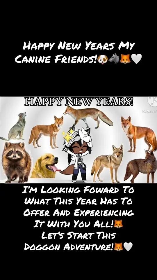 Happy New Years My Canine Friends! #GachaClub #GachaPups #newyears #happynewyears #newyears2025 #2025 #happynewyears2025 #january #januaryfirst #january2025 #january1st2025 #happynewyearsjanuary1st2025 #celebration #dog #wolf #fox #coyote #jackal #dhole #dingo #raccondog #canines #letsstartoffstrong #newyear @🤍Jacobxtremia(irl)🤎 @michaelmegatron426 @Godzilla @yuyu @EZEE @George garcia35686 @Ghostlyy_Ghoull @💙Andrek 💕🤍Tremia🤎💖 @☀️sunny☀️ @🔷️⭐️multivers_me irl 11⭐️🔷️ @🖤🖕Trevor Kuznetsov🖕🖤 @🖤🤍princess Venom/wolfjazz🖤 @🥰💕princes wolf puppy🥰💕 @$(Jordan)$ @Aster Kaleb0801 @BagelBoy @blazekin458 @double b @mía-marie ♡︎ @Nuclear Salvager @Néné oftheMightyFew🪶@My Name Is Quan For A Reason😒 @Nene 