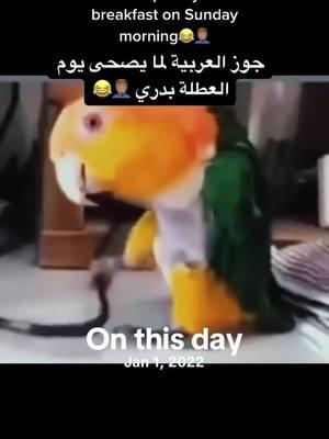 #onthisday #viraltiktok #yalla_arab_america #الشعب_الصيني_ماله_حل😂😂 #نيوجرسي_امريكا #عرب_تيك_توك #foryoupage #happynewyear #2025future  @ArabDONEDEAL 