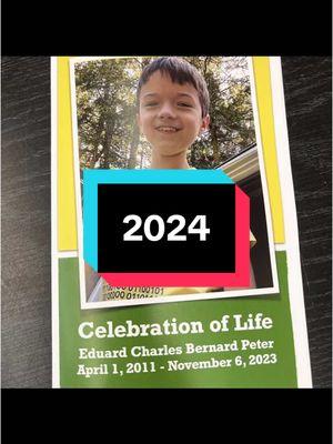 2024 was our first year without Eddie. We held a wonderful Celebration of Life for him in the spring and I took the Three Monketeers all over the US with me.  It wasn’t a good year. It wasn’t a bad year.  #childloss #forever12 #grief #yearinreview #beaniebabies #CapCut #fyp #pediatriccancer #travel #memoriesbringback #memories 