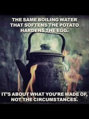 You 🫵 have to be relentless. 🎙️#loveyourself #noexcuse #blameless #riseabove #riseabovethenoise 