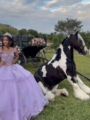 #BriannaPinto  #quinceñera  #williapinto  #rancholaslomaschiquimula #viral #Guatemala #Chiquimula #UnitedStates #pirulin  #viralvideo #viralquincenñera #leregalaronunpony 