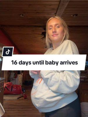 Happy New Year! 16 more days (12/31🧈) 😝❤️ #CapCut #dayinthelife #homesteadjourney #countdown #37weekspregnant #Vlogmas #Vlog #16days #poynterfamilyfarms #sahm #homestead #37weeks 