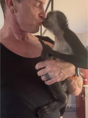 Getting my #neeyear kisses from the Queen!!! Live me some Reina. #happynewyear #2024 #2025 #monkey #spidermonkey #winston #monkeysoftiktok 