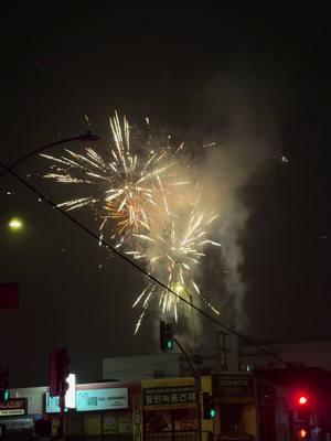 Happy New Year 🥹 #happynewyear #2024baby #2025 #firework #fireworks #downtownla #losangeles #nye #celebration #hny #newyear #resolutions #claramcgregor 