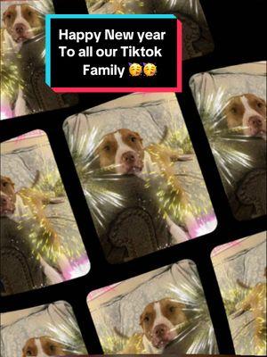 #CapCut #foryou #foryoupage #funny #funnyvideo #laugh #dogsofttiktok #pets #pet #fyp #fypシ #foryou #foryoupage #dogs #viral #dog#PetsOfTikTok #ticktockdogs🐶❤️ #doglover #petslover #ticktokdogslife #cutedogsoftiktok #cutedog #dogloverforever #pitbull #chick #chicken #dance #lession #dog #puppy #Love #quotes 