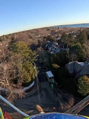 #petzl #Boston #treestuff #cranework #arborist #treeremoval #massachusetts #deflection #bluecollar #howtocranetreeremoval #treeclimber 