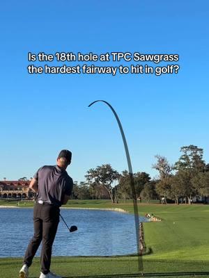 Send this to someone who is never hitting this fairway #golf #tpcsawgrass 