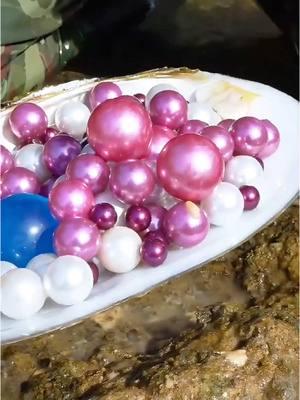 😱🎁Giant clams, oversized purple pearls #pearl #pearlhunter #seafood #jewelry #pickingpearls #huntingpearl #fyp #foryou #tiktok 