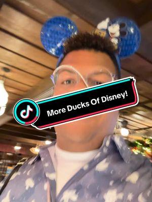 More of the Ducks of Disney!!! This Pin hunt for this Viral item is going to stress me out!!!! #disneyadult #disneypins #disneypinhunting #disneyworld #viraltiktok #disneypinscollection #distok 