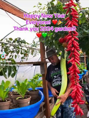 Looking forward to the upcoming growing season I hope everybody has a great year of growing#tiktokgardener #growfood #hoophousegrowing #vegetablegarden #gardensoftiktok #gardening #hoophouse #vegetables #