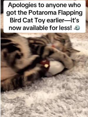 🐦✨ Bring the fun home! The Potaroma Flapping Bird Cat Toy chirps and moves to keep your kitty engaged. Touch-activated and rechargeable for endless playtime! #interactivecattoys #flappingbirdfun #kittenplaytime #cataccessories #happycats #rechargeablecattoy