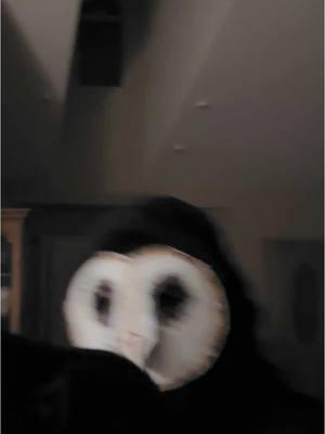 The Owl Man persists. What else will 2025 bring #horrortiktok #creepypasta #nightvision #thefourthkind #creepy #horrorpov #scary #theowlman #fypシ 