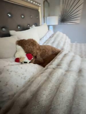 ASI no hay quien pueda ni tender la cama 😩🥰🥰🥰@YELANY #dog #dogsoftiktok #dogathome #dogsoftiktokviral #dogsvideo #dogs #dogmom #kiara #kamora #kooper #goldendoodle #shibainu#morning #morningroutinewithdogs .