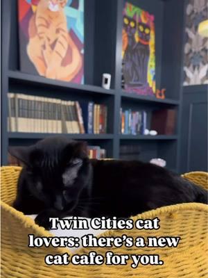 There’s a new Twin Cities cat cafe! Catzen Coffee in St. Paul, MN is now open for locally sourced coffee and food and time with the resident cats. #stpaul #stpaulminnesota #stpaulmn #saintpaul #saintpaulmn #saintpaulminnesota #twincities #twincitiesmn #exploremn #mncheck #onlyinmn #exploreminnesota #onlyinminnesota #minnesota #catcafe @Catzen Coffee 