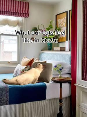 They have had it rough in 2024. And by rough I mean all the food, cuddles, and catnip they could ever want. Happy 2025!! #catmemes #catmemesdaily #catmemesforlife #funnycats #memes #meme #comedy #funny #fyp #fypシ #catsarefunny #newyearseve 