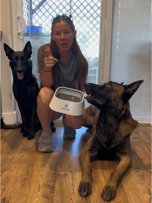 A New Water Bowl For The Dogs #dogmom #waterbowl #dogdrinking #loveit #nospill 