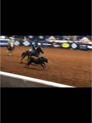 2024 was a great one #roperaceride #foryou #fyp #fy #🔥 #roping #teamroping #heading #calfroping #tiedownroping #heelside #rockinblu #horse 