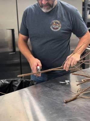 We are just over here pruning cuttings…over and over again. 🤪 #poppletreecreekfarms #husbandwife #elderberry #elderberrycuttings #SmallBusiness #smallfarm 