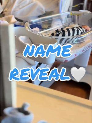 Welcome to the world sweet boy 🩵  #namereveal #pregancyjourney #donorbaby 