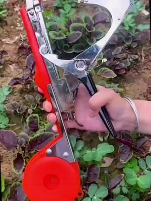 🌿 Best Tool for Gardeners! Branch Binder for High-Performance, Easy Gardening 🌱 #GardeningTools #BranchBinder #FarmTools #HomeGardening #OutdoorEssentials #DIYTools #HighPerformanceTools #GardenHacks #MustHaveGardenTools #FarmLife #HardwareEssentials #gardeningmadeeasy 