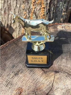 Goat trophy 🏆 🐐 #salesgoat #greatestofalltime #goat🐐🐐 #funnydecor #mancavedecor #mancaveideas #trophyroom #bestaward 