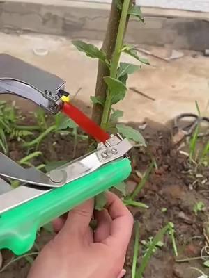 Effortlessly Tie Up Your Plants with the Plant Tying Machine! 🌱🛠️ Streamline Your Garden Maintenance with Our Lightweight, Quick-Tying Tool – Perfect for Grapes, Raspberries, Tomatoes, and All Vining Vegetables. 🍇🍅 Boost Your Harvest with Ease. #PlantTyingMachine #GardenToolInnovation #QuickTieTechnology #VineSupport #GrapesAndBerries #TomatoGardening #ViningVegetables #GardeningEssentials #HomeGarden #OrganicFarming #GardenToolHacks #OrderNow #TikTokGarden #GreenThumbTools #PlantCareTips #HarvestSeason #TikTokShopLastChance#TikTokShopNewYearNewAura#spotlightfinds 