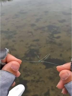 SAVE FOR LATER ➡️ Wind knots will happen, even to the most experienced anglers. When they do, don't pull both ends of the line or cut the line so you have to re-rig. Try grabbing one of the loops in the knot and pulling that, and usually, that will help untangle the knot.  #fishing #saltwaterfishing #freshwaterfishing #inshorefishing #kayakfishing  #fishingtips #fishinglife #windknot #fishingcommunity 