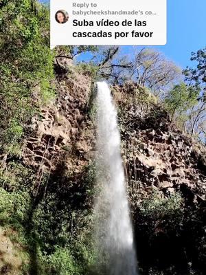 La cascada ideal para votar las pulgas que se nos pegaron en el 2024 😬 #elsalvador #vidadelcampo #rios #cascadas #bosques 