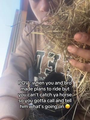 If ykyk#countryboys #horses #speedracking #fyppppppppppppppppppppppp #pacer #nafr #foryoupage 