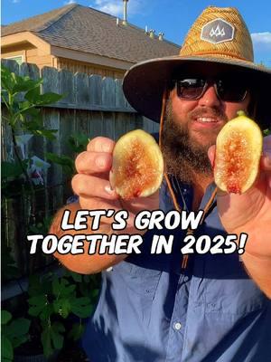 Do You Want to Grow Figs in 2025? #fig #figs #growtogether #growing #food #growfood #growfoodnow #texasgardenguy #figtree #figtrees #gardeninghacks #houston #garden #gardening 