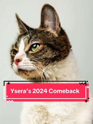 Ysera remarkable comback of a 2024. Ysera in febuary Had her first seizure and went into a downward spiral from there but she recovered and came back stronger than she was before. Ysera won americas favorite pet in 2024. Now she hasnt had a seizure in 4 months. I wonder what 2025 will bring for her #ysera #yseratok #kitten #cute #specialcat #catsoftiktok #kitty #goodmorningysera #catsofinstagram #catsoffacebook #ndd #neurodegenerativedisease #yserasarmy #2024 #americasfavoritepet2024 #afp2024 #CapCut 