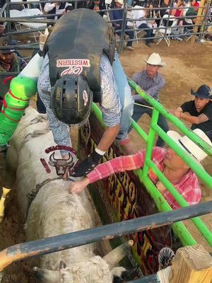 #bullrider  Canelo jalisco 🆚 Cielo Blanco#bullrider #teamwork #jaripeo_ranchero #jaripeoseason #jaripeoprofesional #jaripeooutfits #jaripeomexicano #jaripeosinfronteras #bullriders #jinetes #jinetesdelasfalto #picoriverasportsarena #pulguitadejalisco 